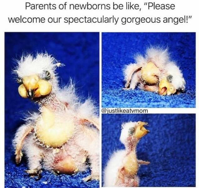 parentingmemes11_003