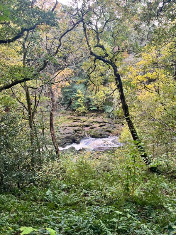 randompics1067_076