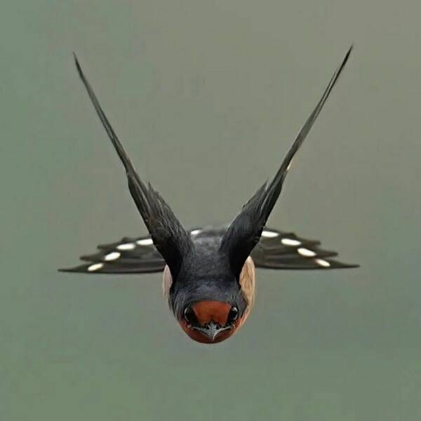 randompics1105_047
