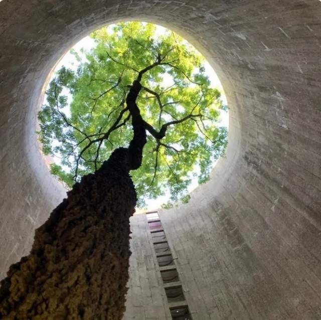 abandonedplaces25_031