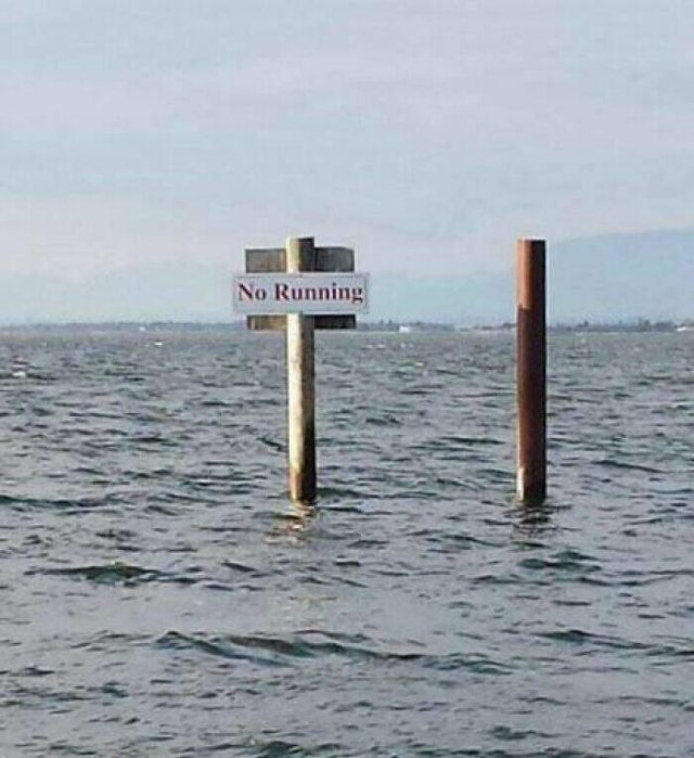 badtranslations6_003