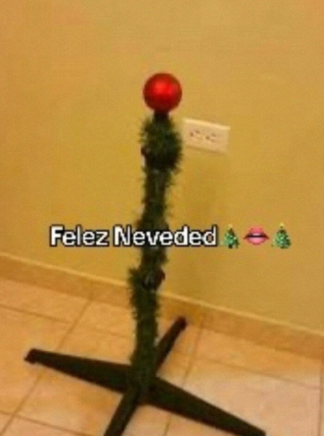christmasfails2_025