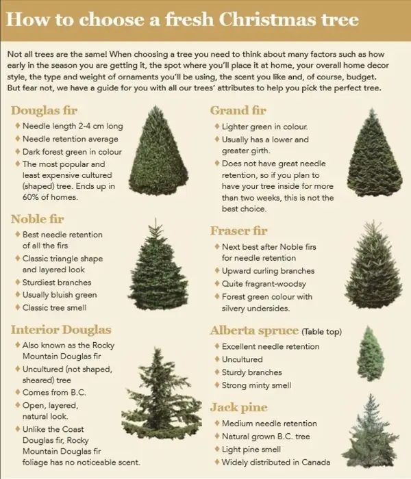 everythingchristmas_011
