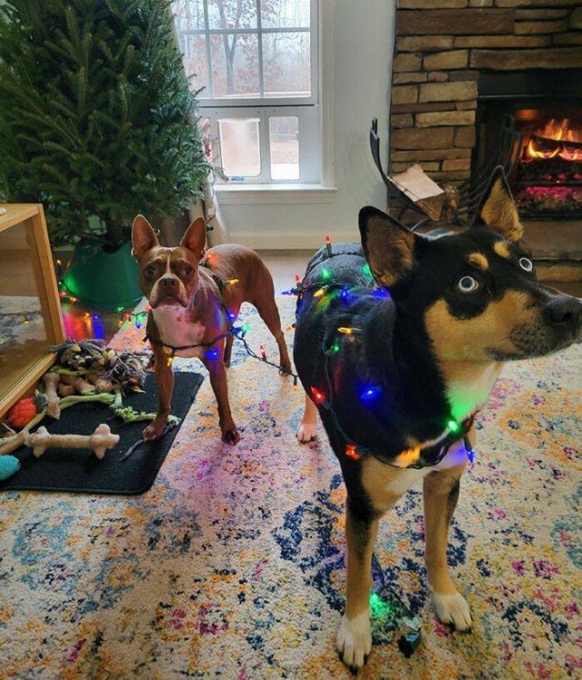 everythingchristmas2_009