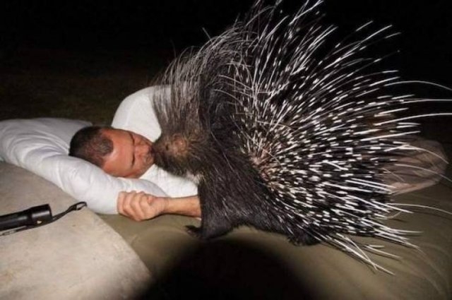 funnyanimals129_004