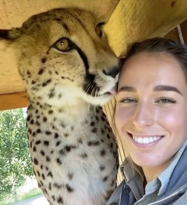 funnyanimals129_033