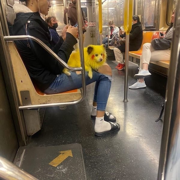 funnysubway29_007