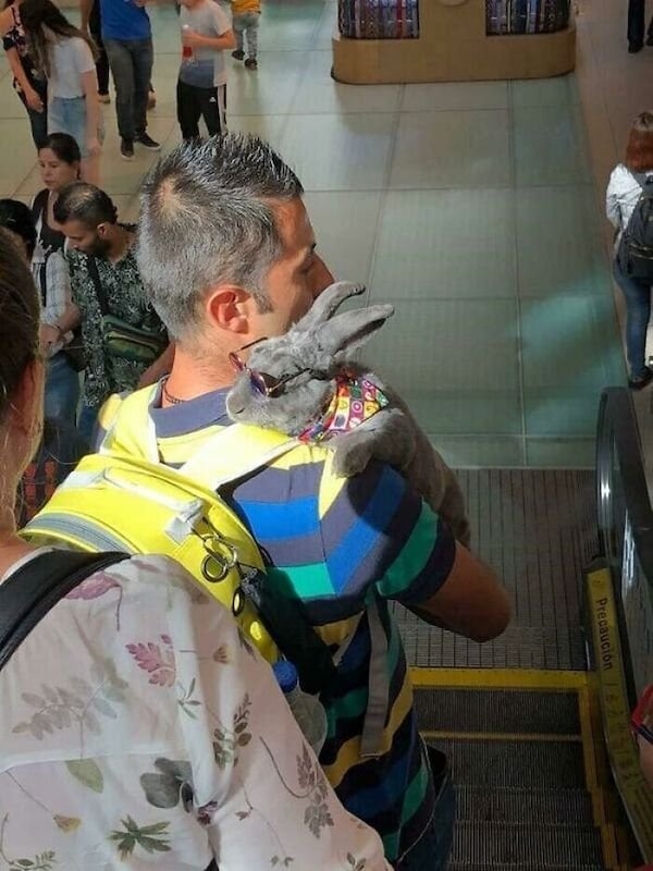 funnysubway29_009