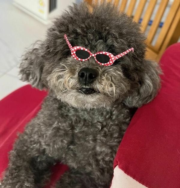 girlswithglasses25_035
