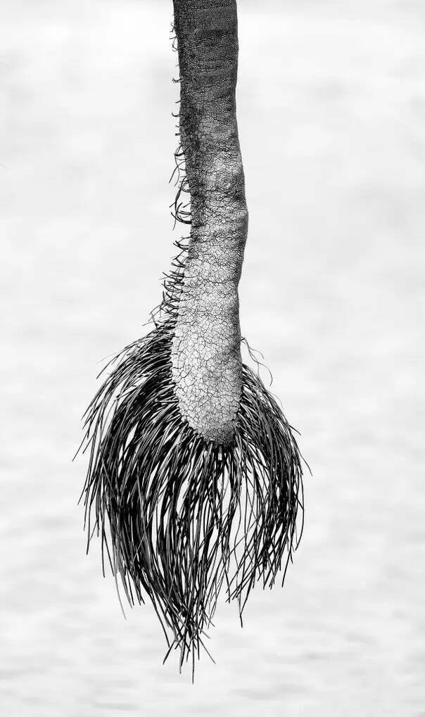 interestingfacts80_016