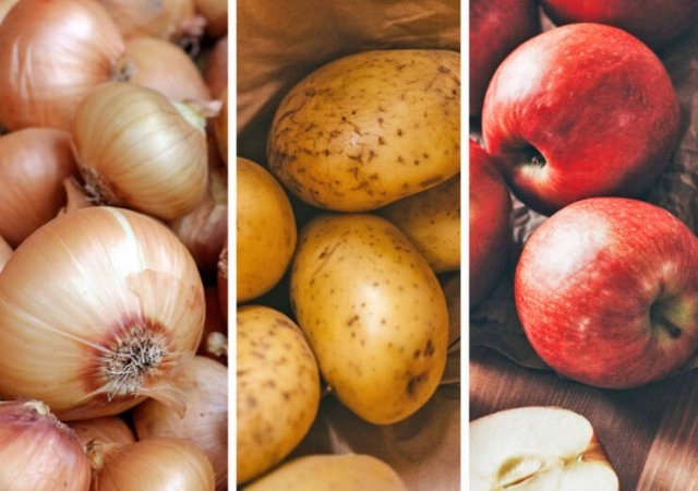 interestingfacts81_014