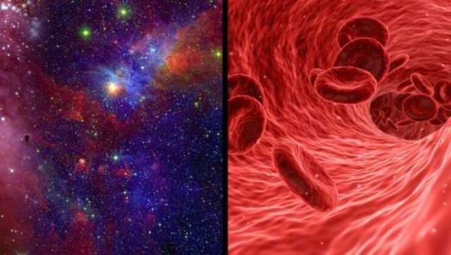 interestingfacts81_016