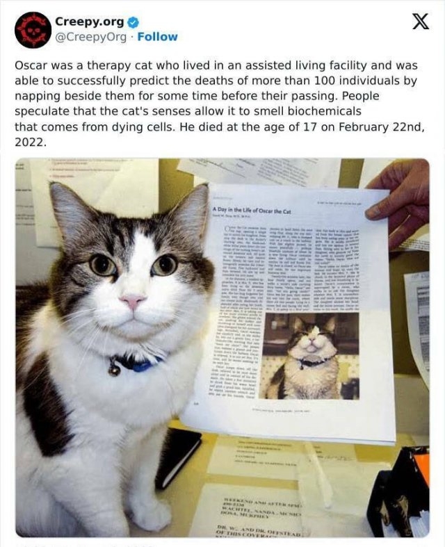 interestingfacts82_008