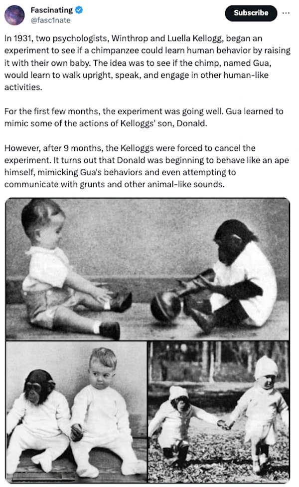 interestingfacts84_004