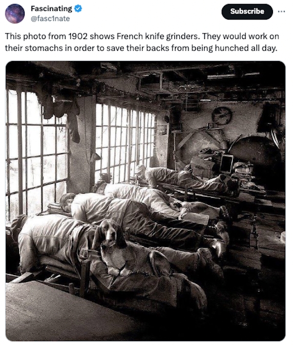 interestingfacts84_011