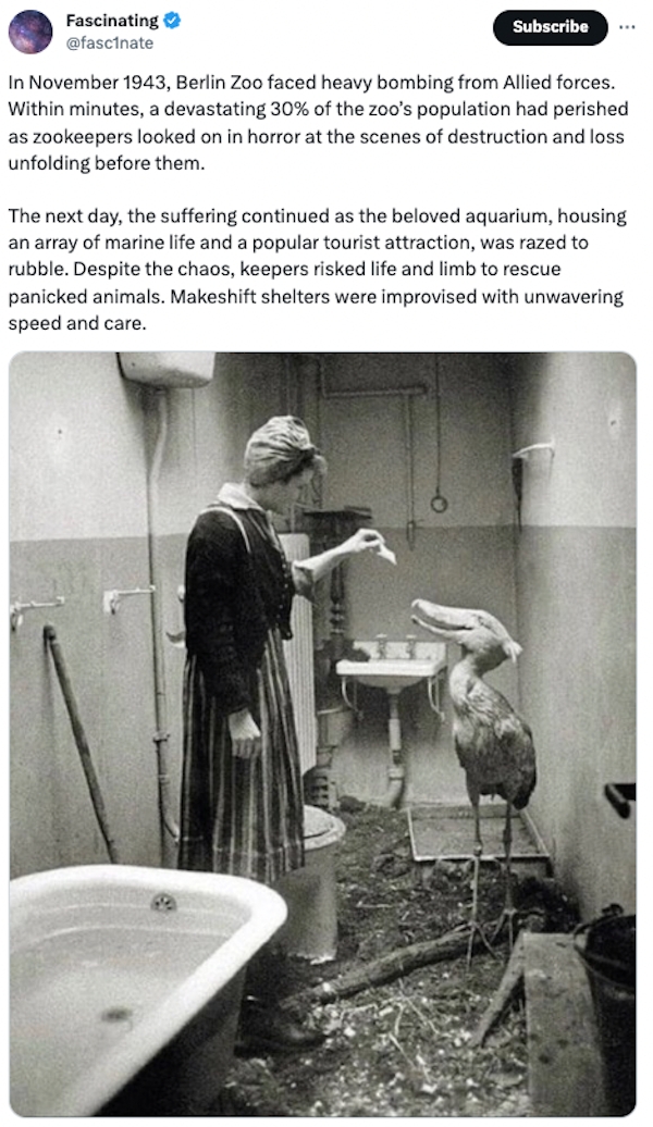 interestingfacts84_017