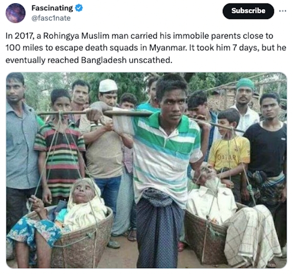 interestingfacts84_018