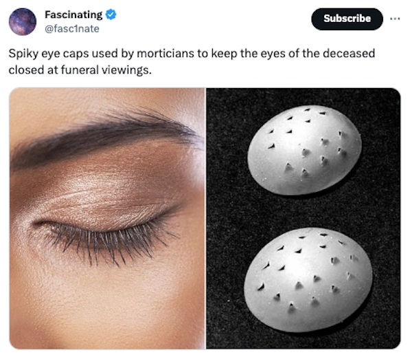 interestingfacts84_021