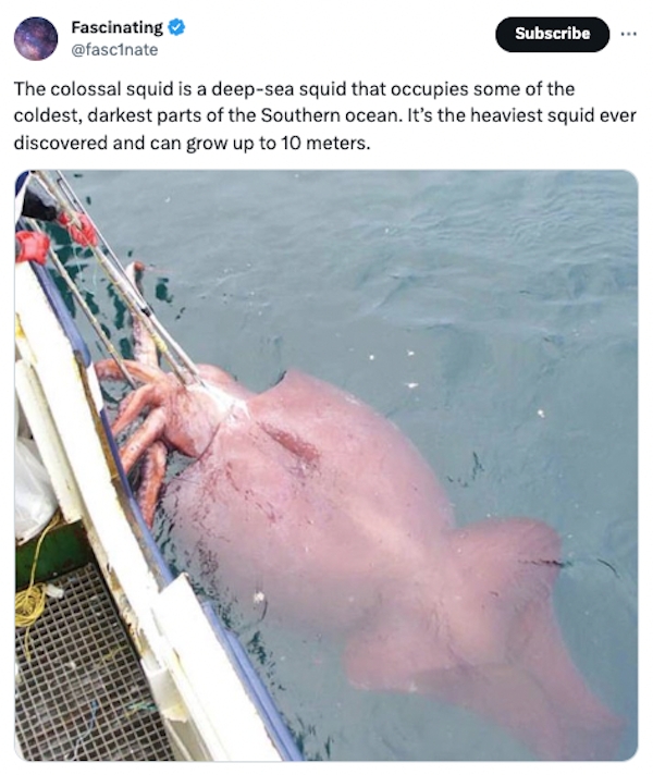 interestingfacts84_024