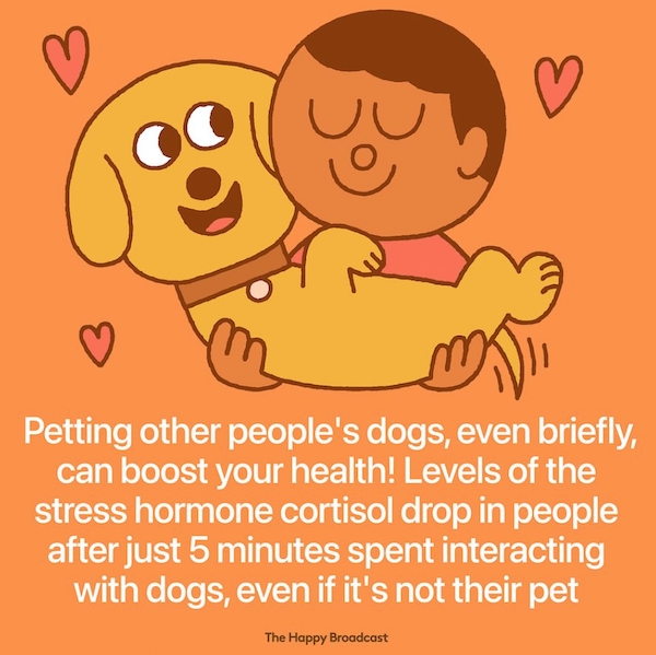 interestingfacts86_017