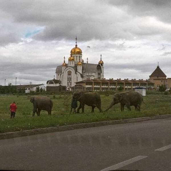 onlyinrussia20_023