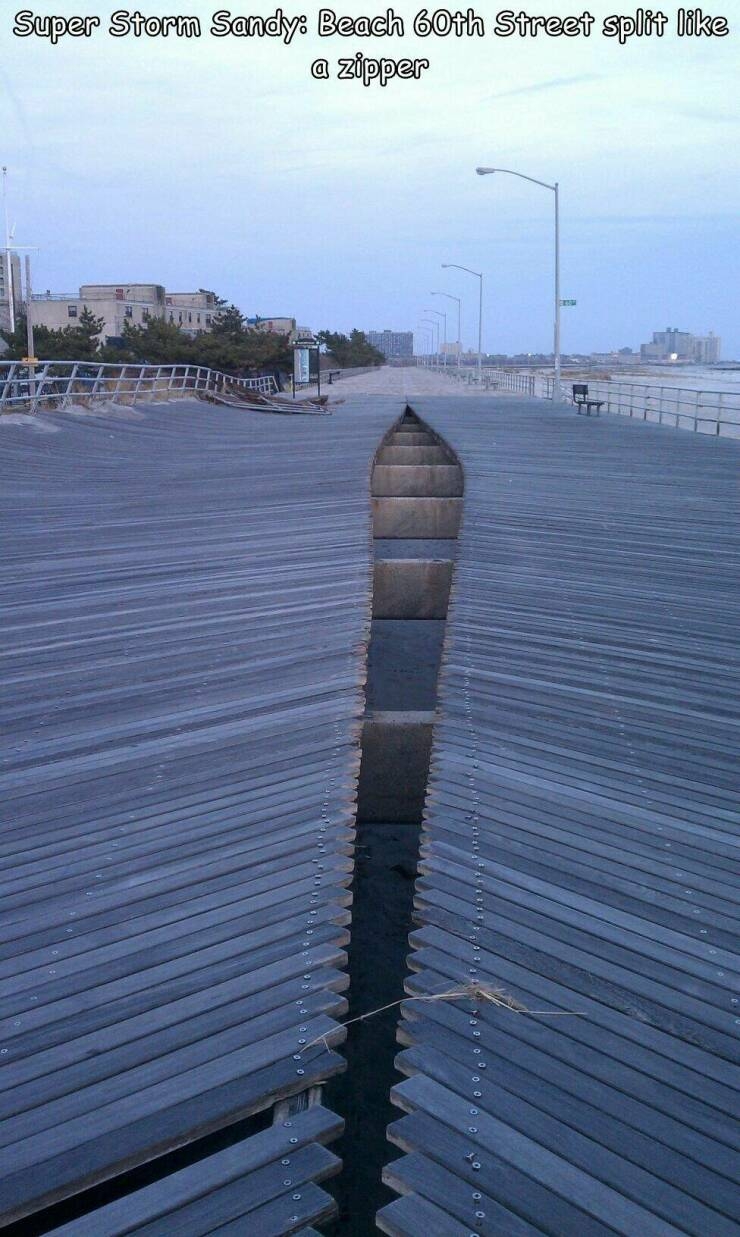 randompics1114_053