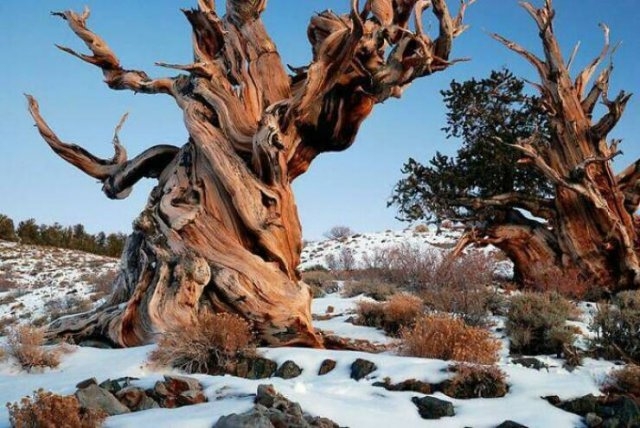 randompics1118_068