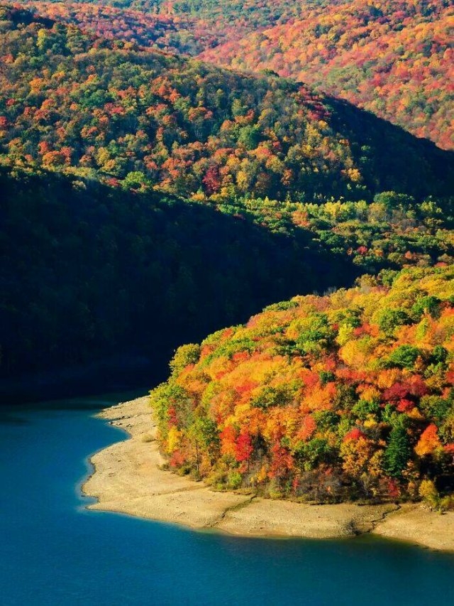 randompics1118_072