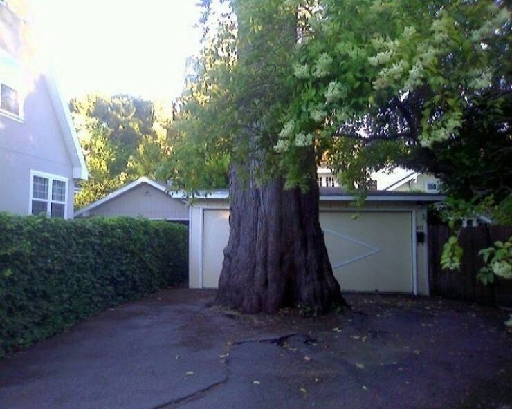 randompics1124_078
