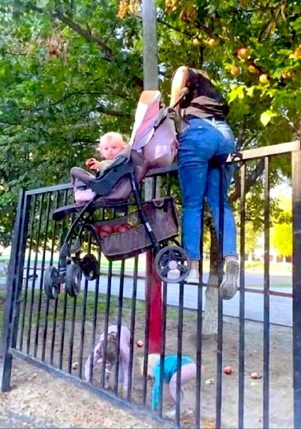 randompics1136_078