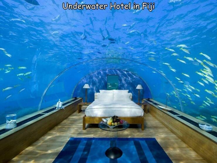 randompics1139_003