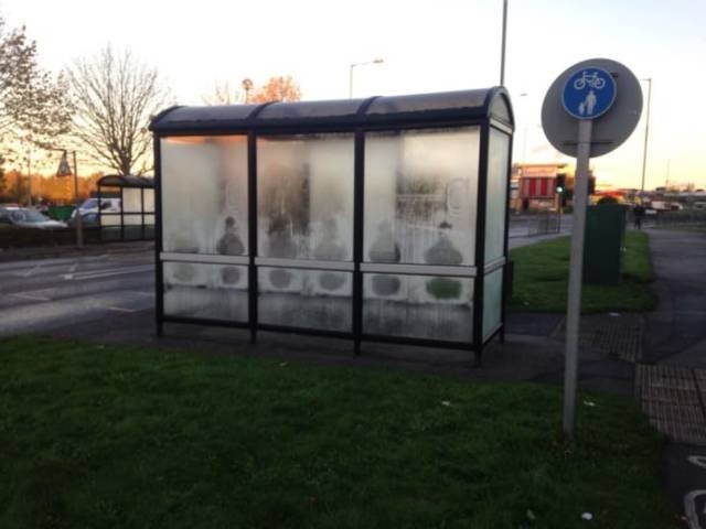 randompics1151_076