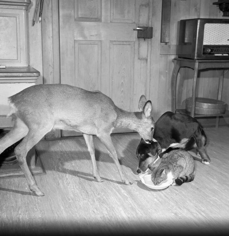 randompics1152_059