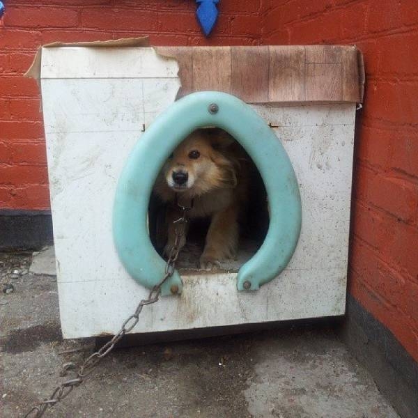 redneckengineering11_023