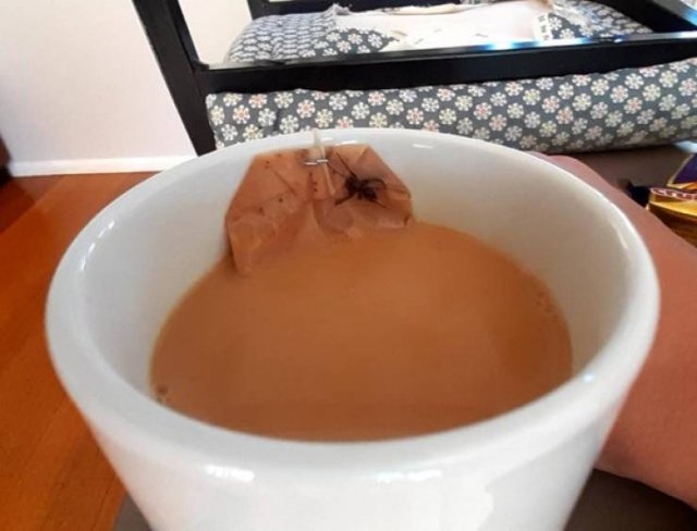 strangedesigns31_037