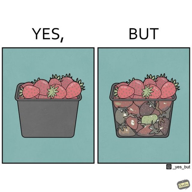 yesbut3_020