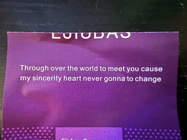 badtranslations8_028