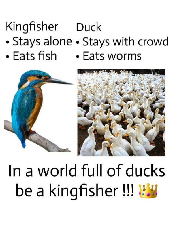 deepthoughts22_012