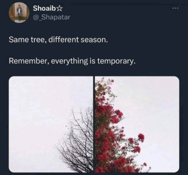 deepthoughts22_018