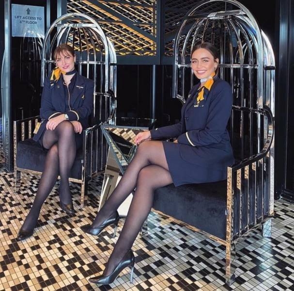 flightattendants17_012
