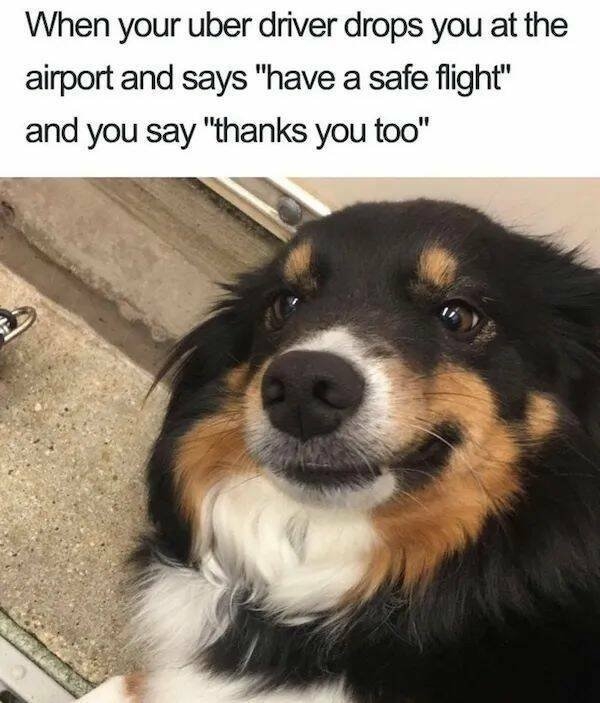 funnyanimals137_005