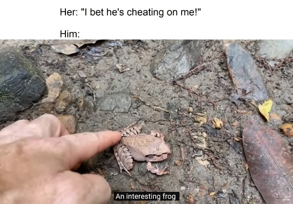 funnymemes178_004