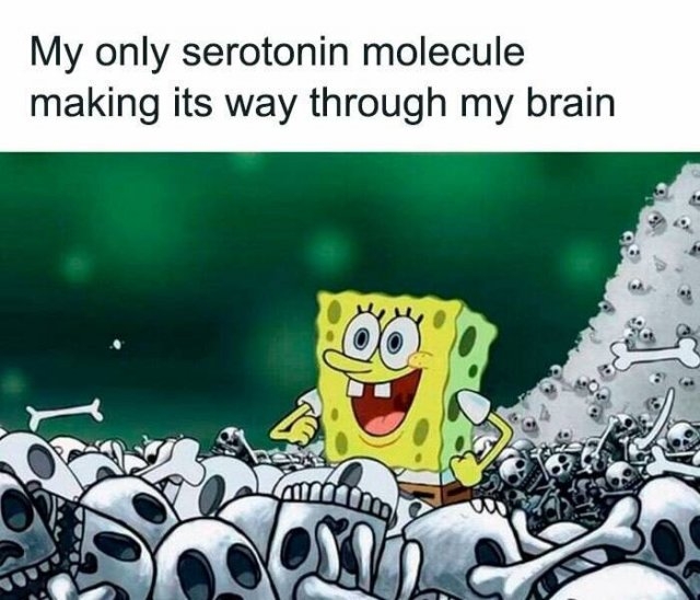 funnymemes178_031