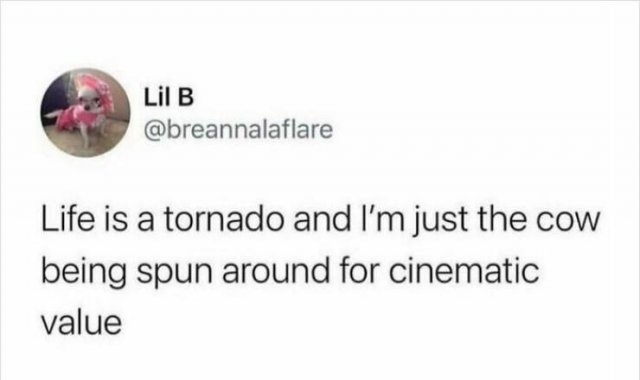 funnymemes178_032