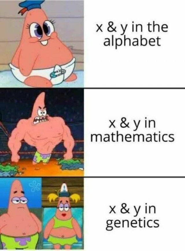 funnymemes178_035