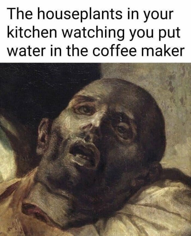 funnymemes178_039
