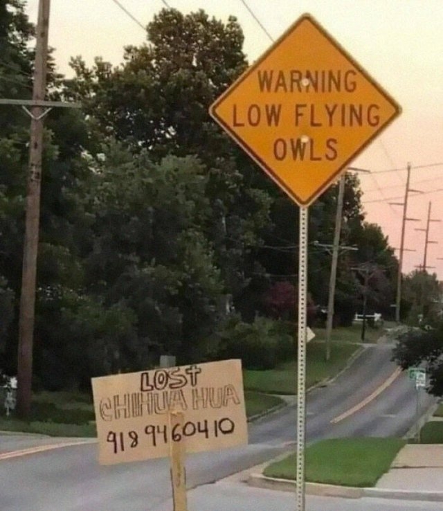 funnysigns25_004