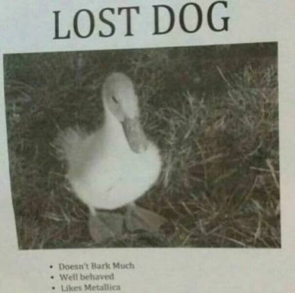 funnysigns25_012