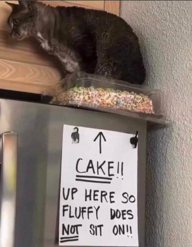 funnysigns25_013