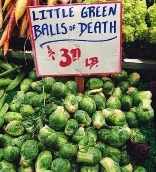 funnysigns25_019